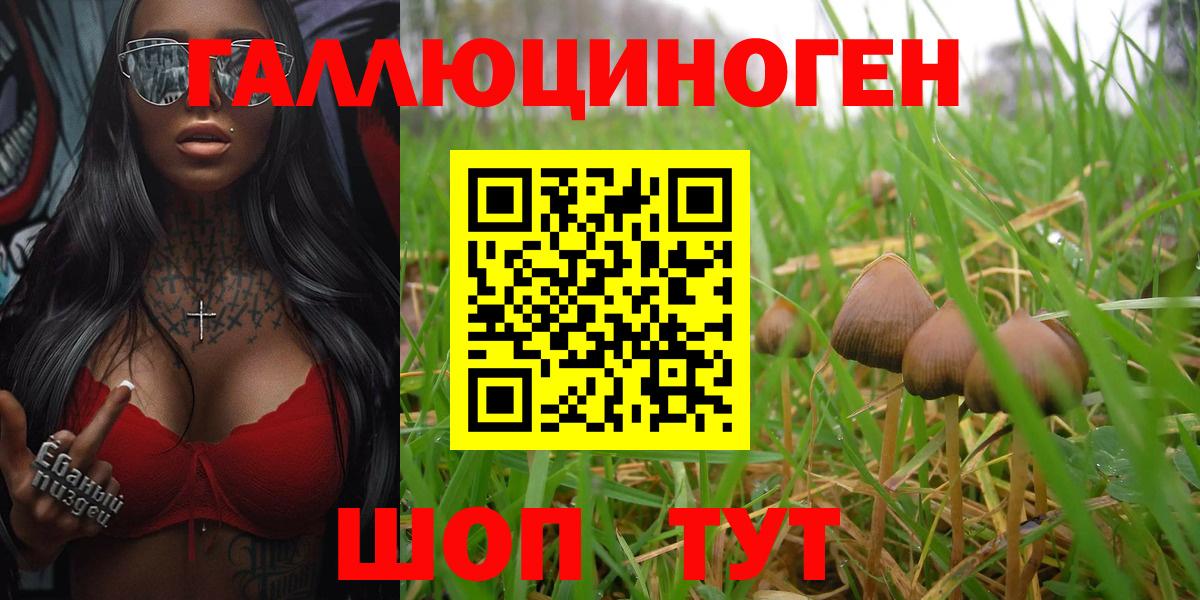 Галлюциногенные грибы MAGIC MUSHROOMS  Галлюциногенные грибы Psilocybe  Ирбит  Вход с VPN 