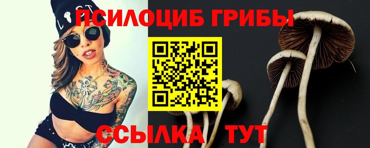Галлюциногенные грибы ЛСД Ирбит